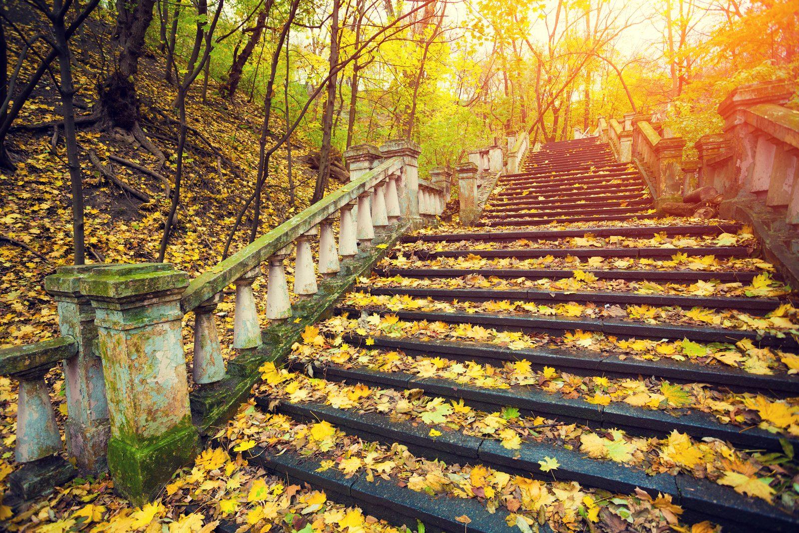 Centrum's 5 Best Sunrise Parks Transform Morning Yoga and Meditation