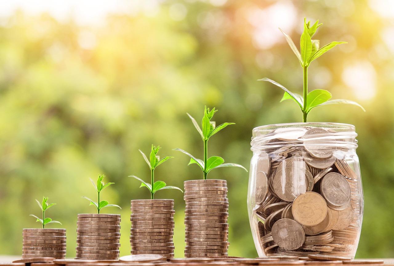 Oud West's Growth Corridor Is Reshaping the Investment Map