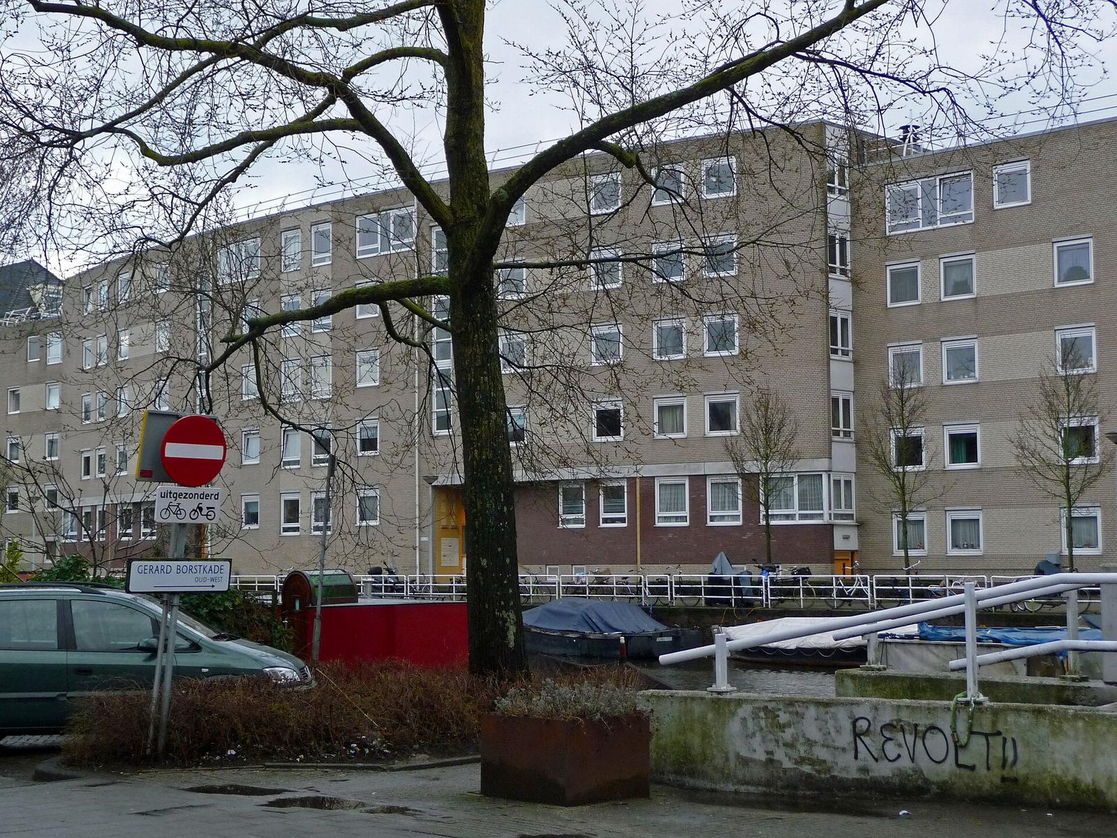 Tree along the canal with flats on the basckground; Amsterdam April 2013